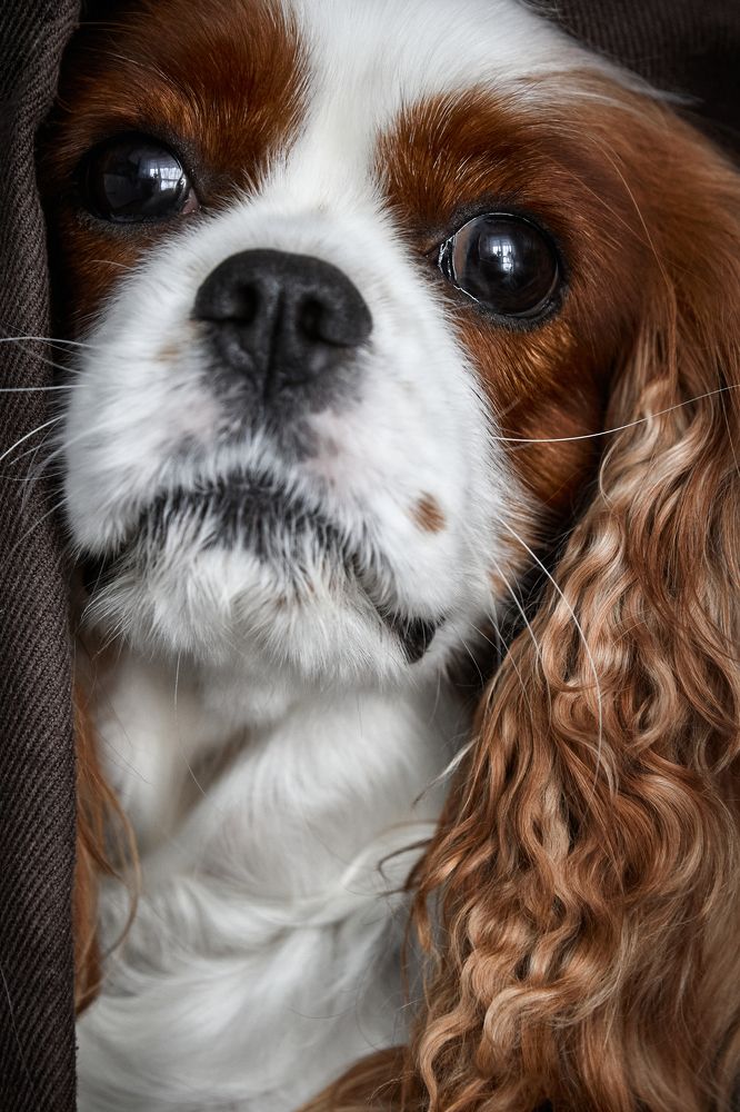 Фотография автора Вострецов Иван