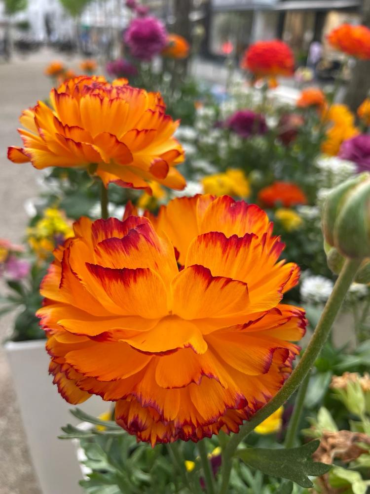 Photograph by Елена Чурынина