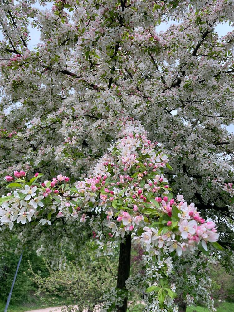 Photograph by Елена Чурынина