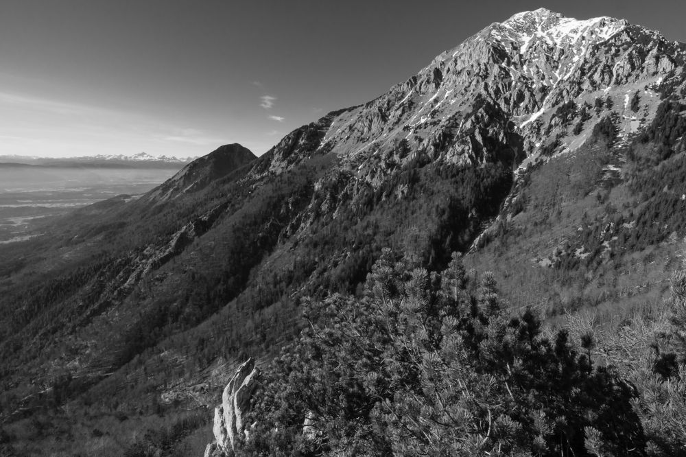 Photograph by Matija Šimunić