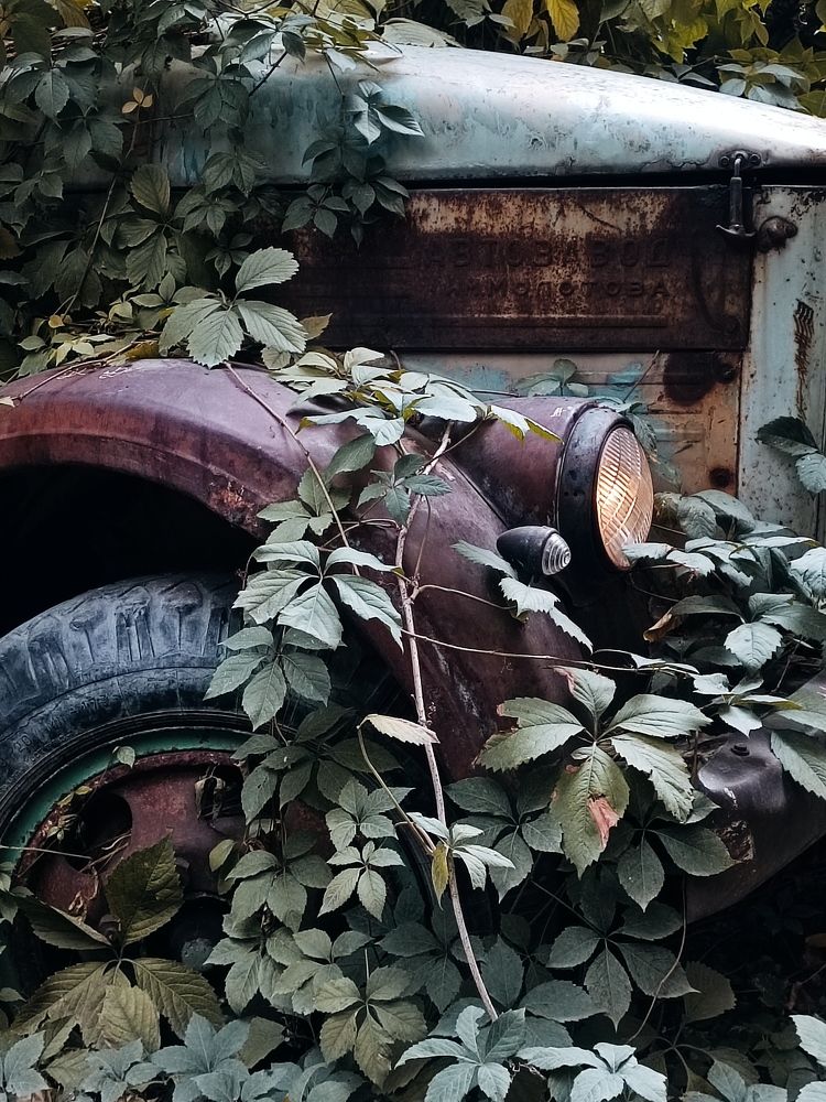 Photograph by Татьяна Шевелева