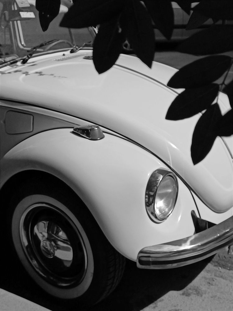 Photograph by Татьяна Шевелева