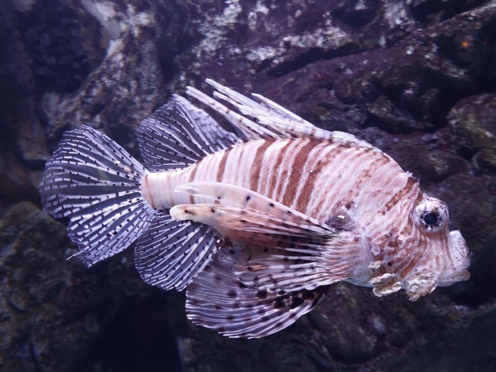 Photograph by Наталина Князева