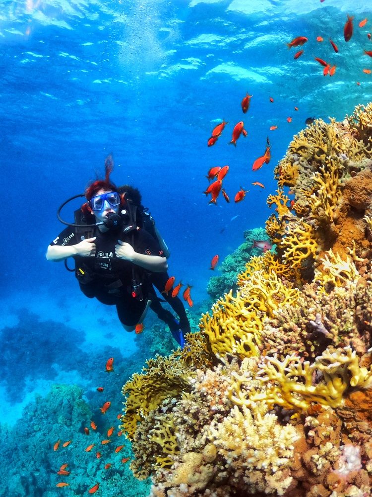 Photograph by Татьяна Шевелева