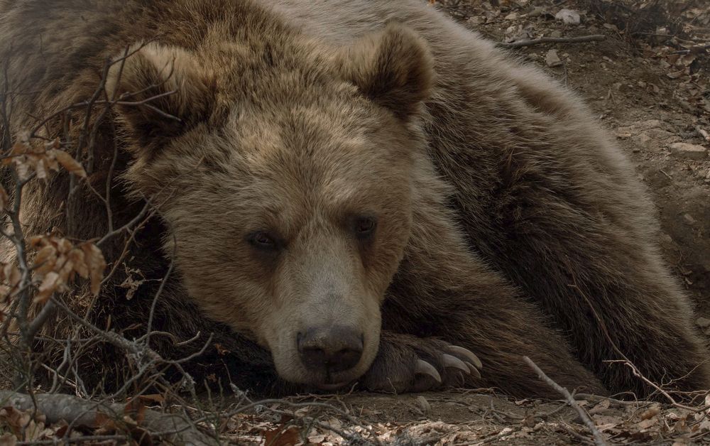 Photograph by Taтьяна Войлокова