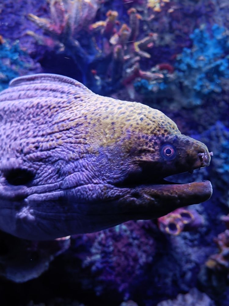 Photograph by Татьяна Шевелева