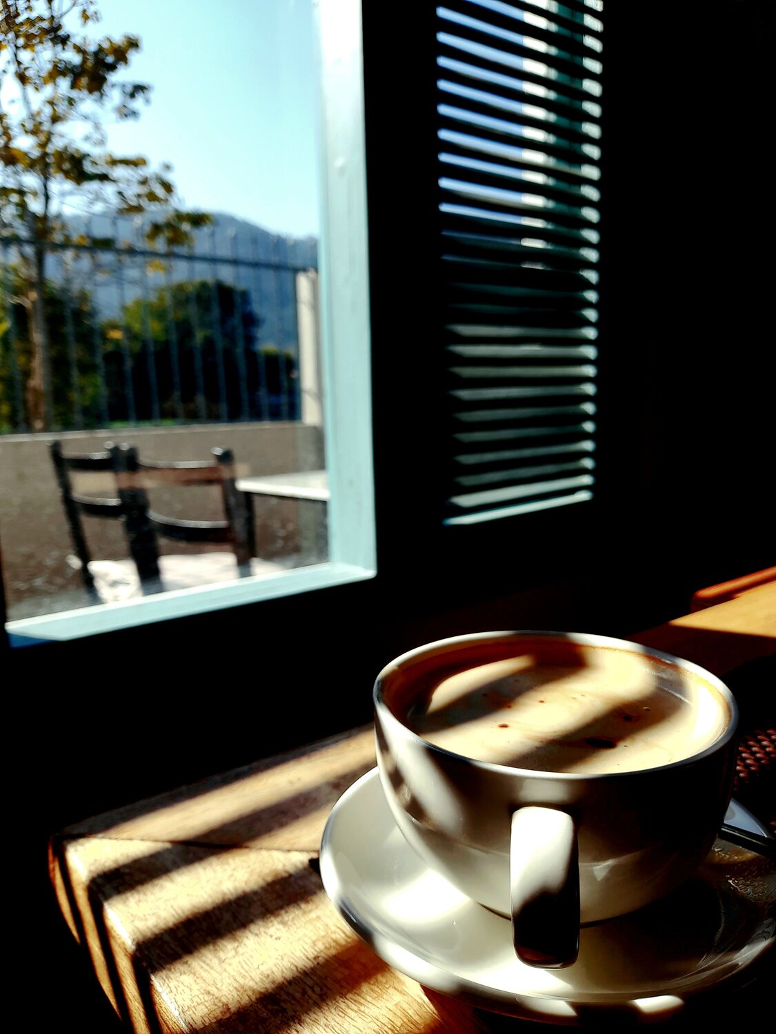 Photo #10541249