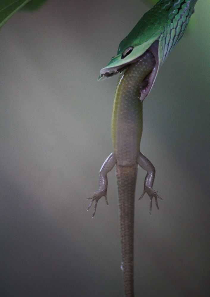 Photograph by Tharindu lakshan Rathnayaka