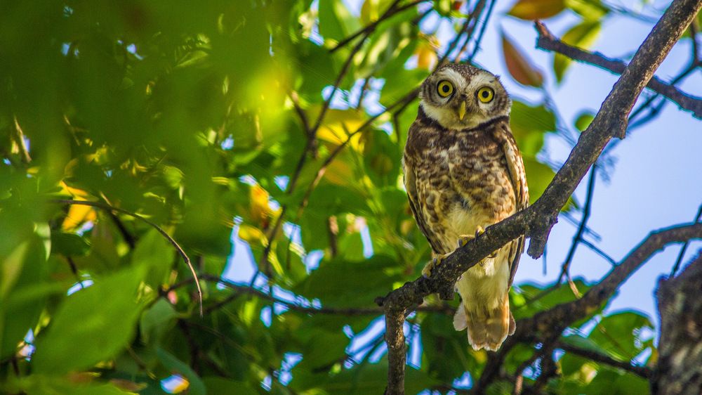 Photograph by Akshey Kumar