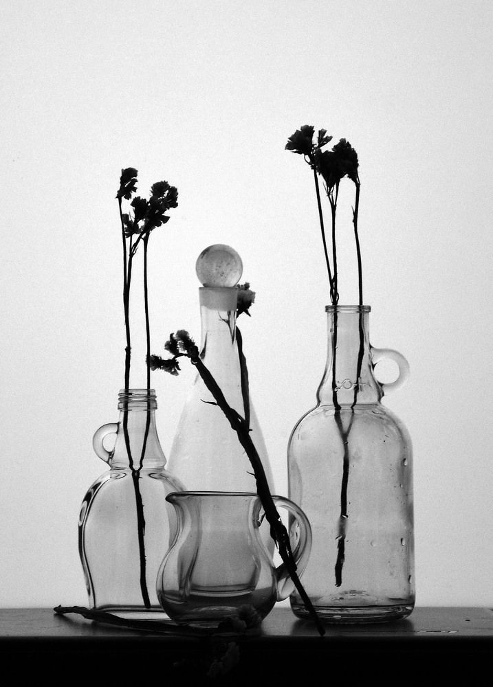 Photograph by 