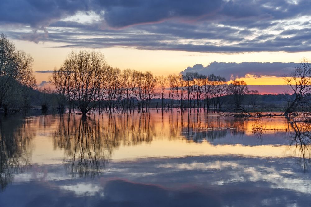 Photograph by Добродий Михаил