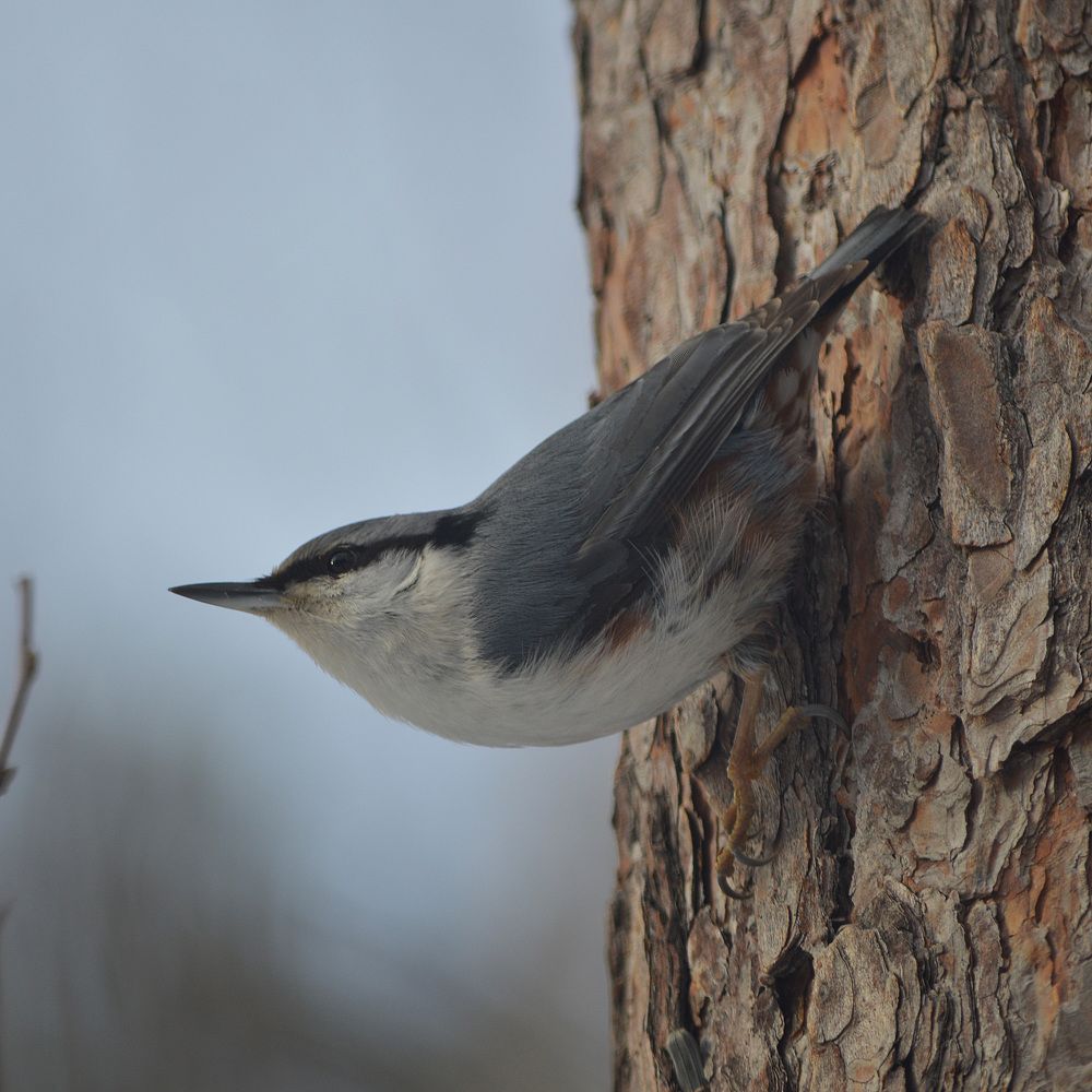 В активном поиске.