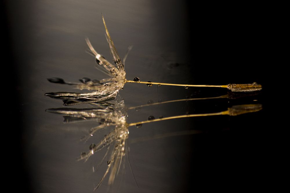 Photograph by Sergey Tsubanov