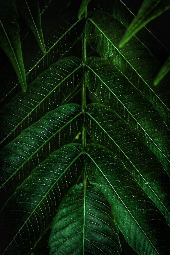 Photograph by Татьяна Бравая