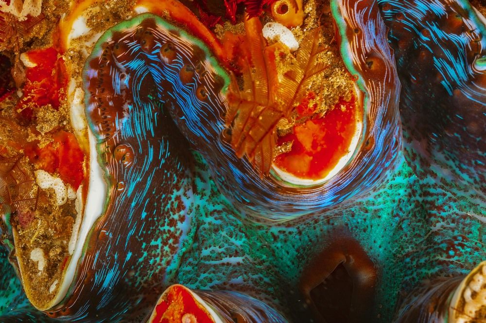 Photograph by Peet J Van Eeden