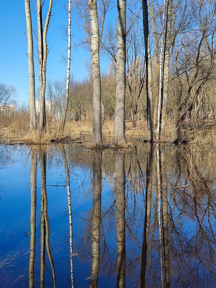 Photograph by Галина Махонь