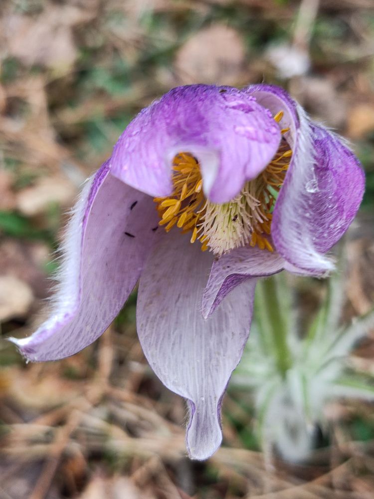 Photograph by Галина Махонь