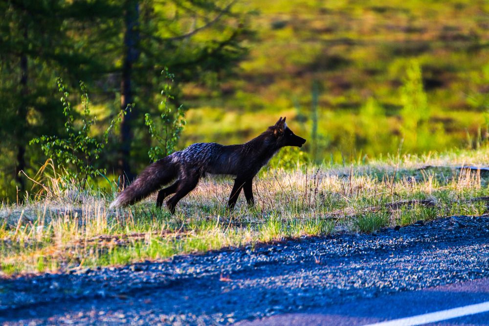Photograph by Евгений Ничипорук