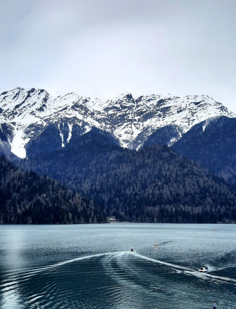 Фотография автора Елена Пикатова