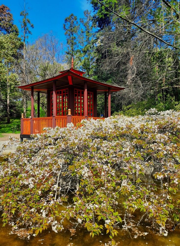 Фотография автора Елена Пикатова