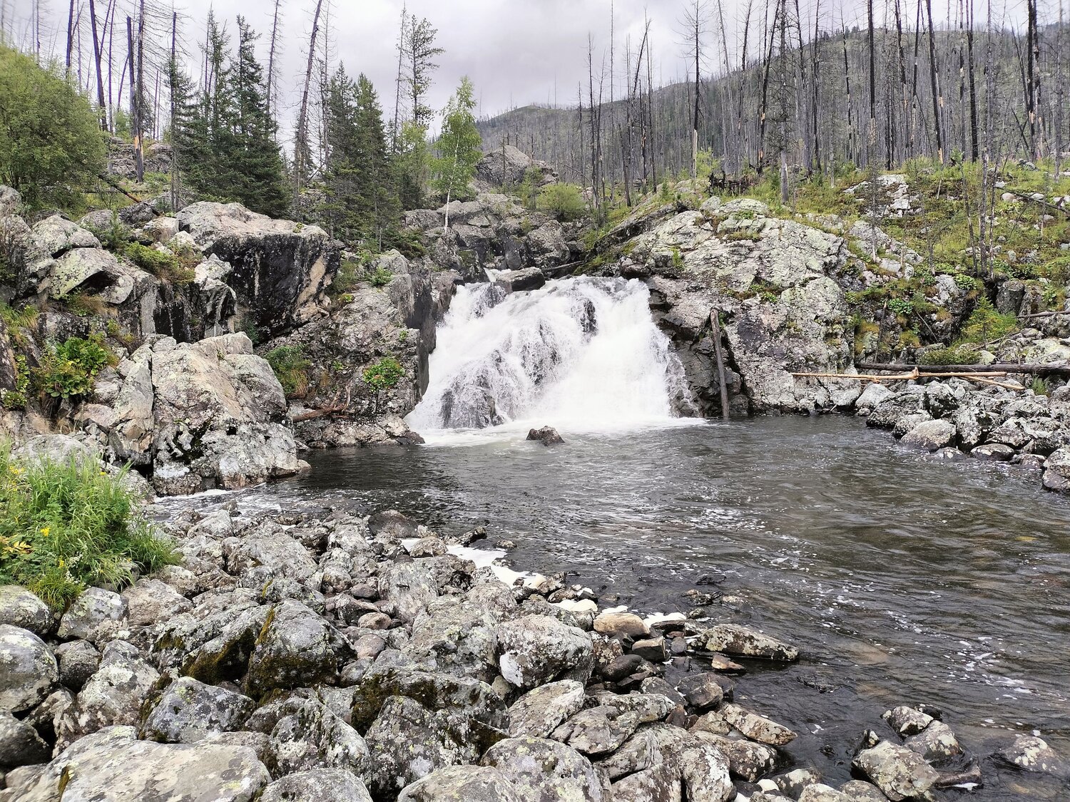 Photo #10541631