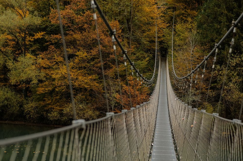 Фотография автора Albina Vaniyants