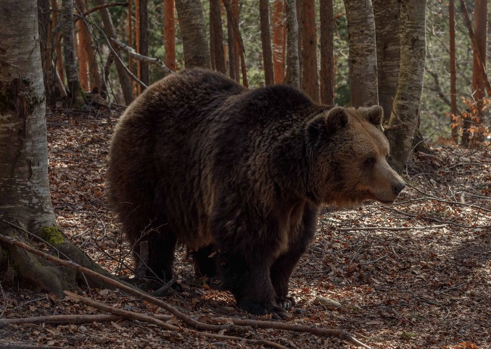 Photograph by Taтьяна Войлокова
