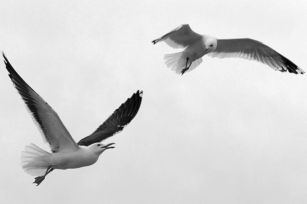 Photograph by Андрей