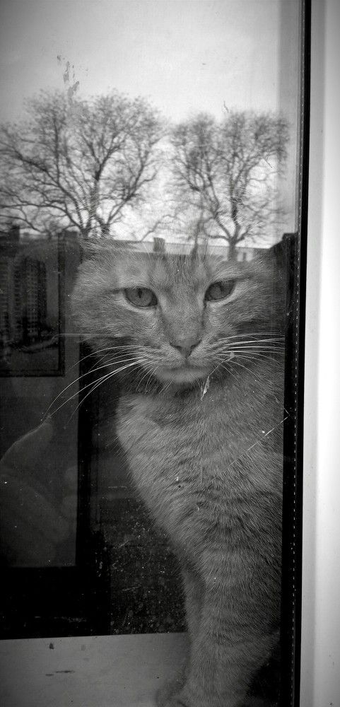 Photograph by Дмитрий Соколов