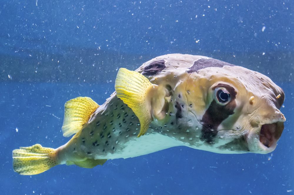 Photograph by Сергей Феофанов