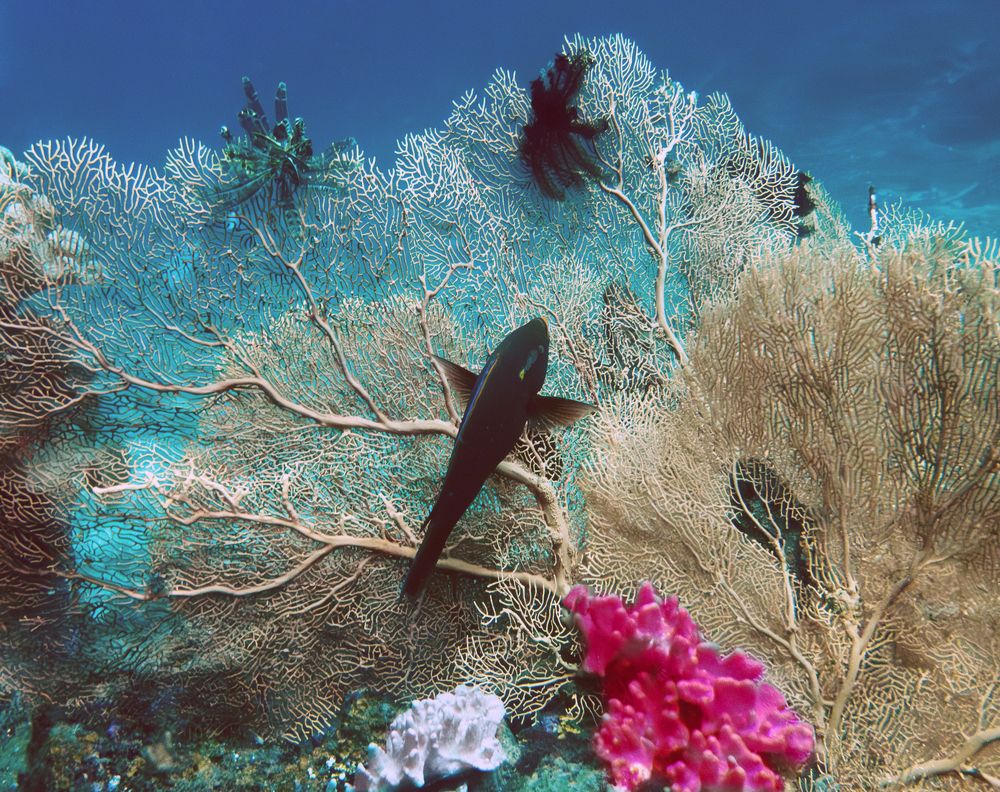 Photograph by Всеволод Сахновский