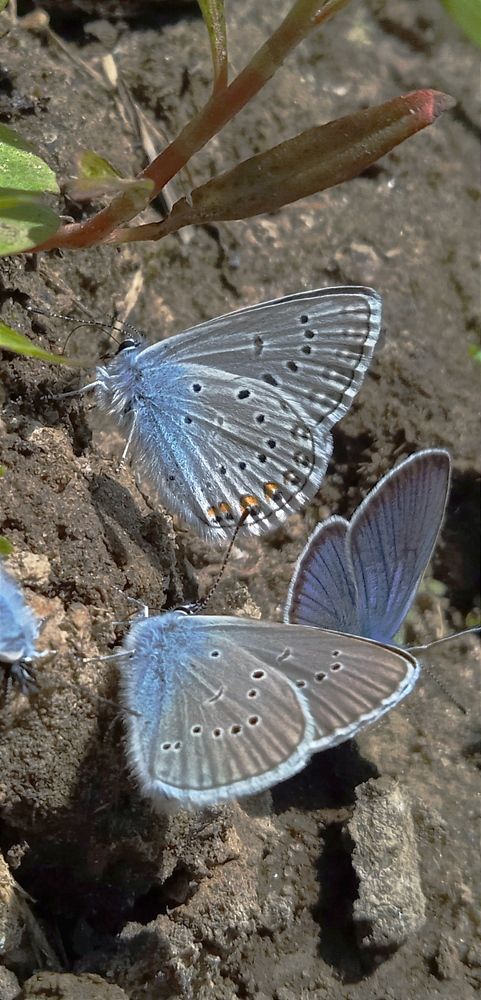 Photograph by Мария Голубева