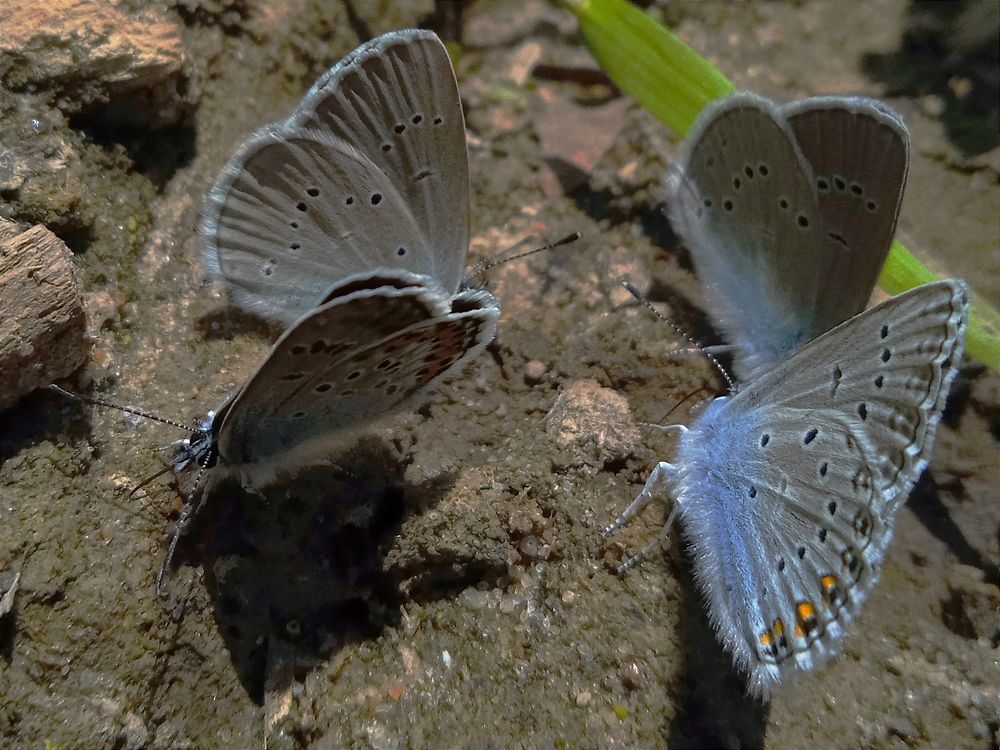 Photograph by Мария Голубева