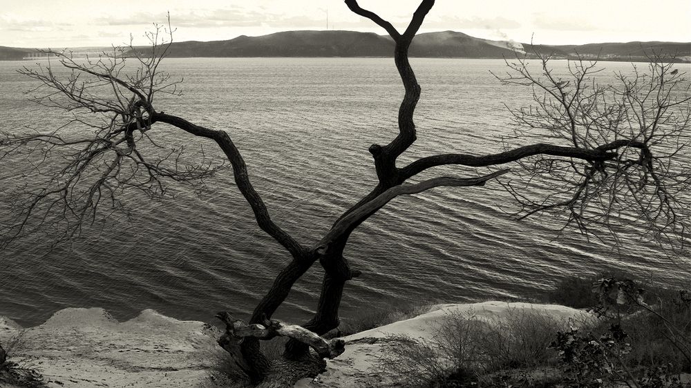 Photograph by Серега Вартман