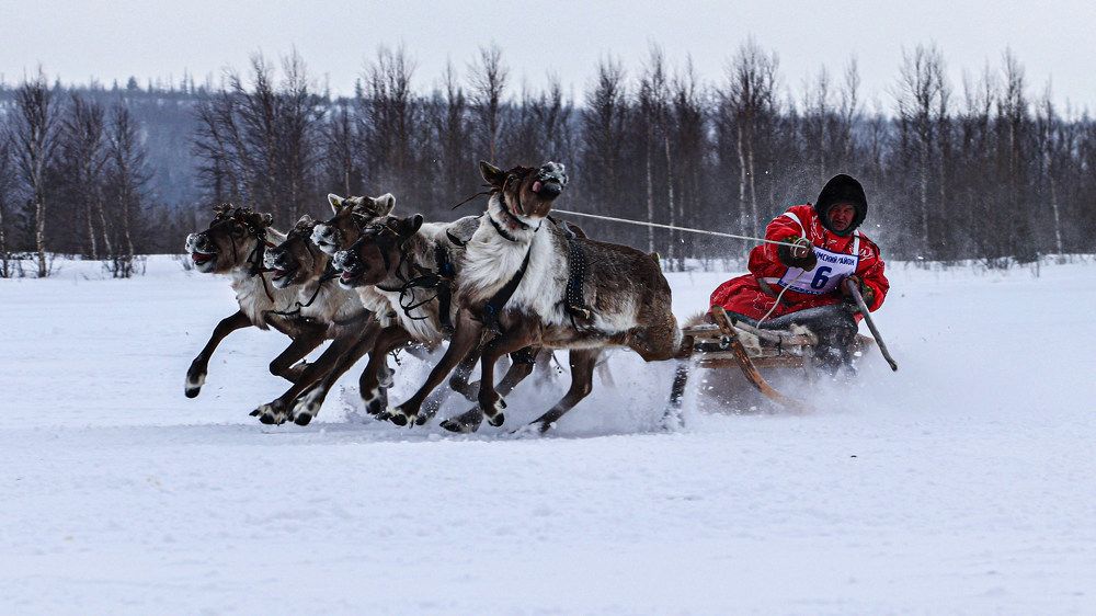 Photograph by Евгений Ничипорук