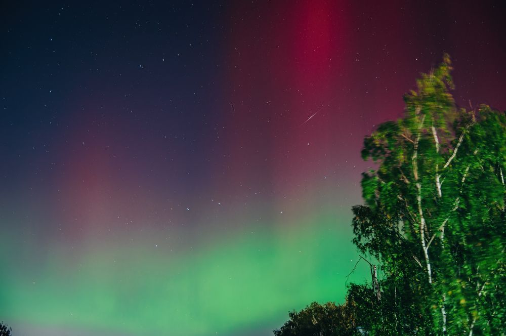 Фотография автора Александр Бойков