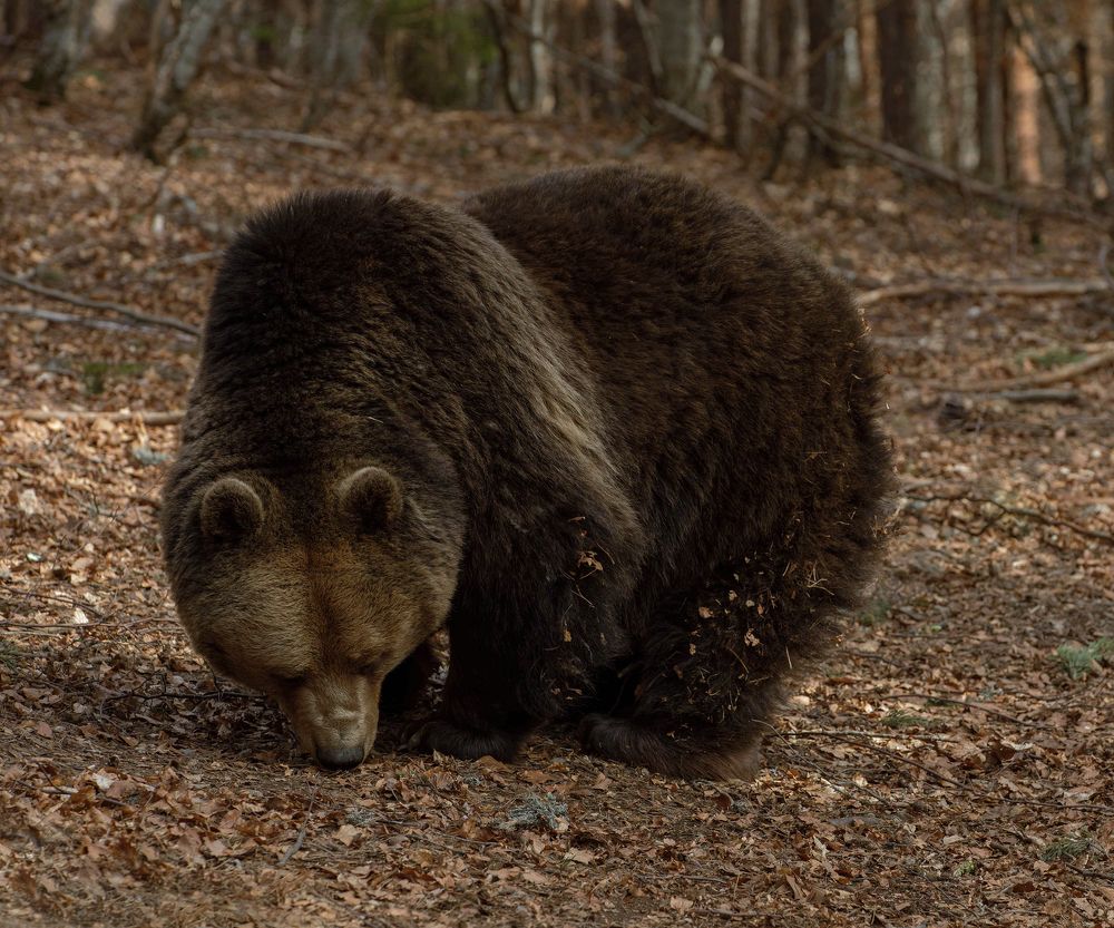Photograph by Taтьяна Войлокова