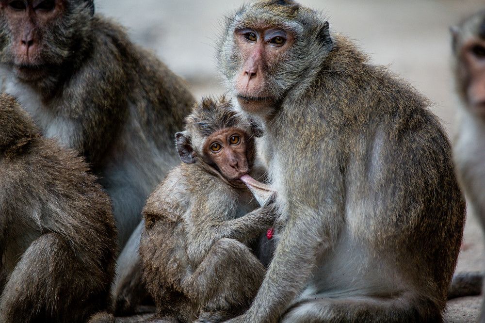 Photograph by NguyenKhoi Do