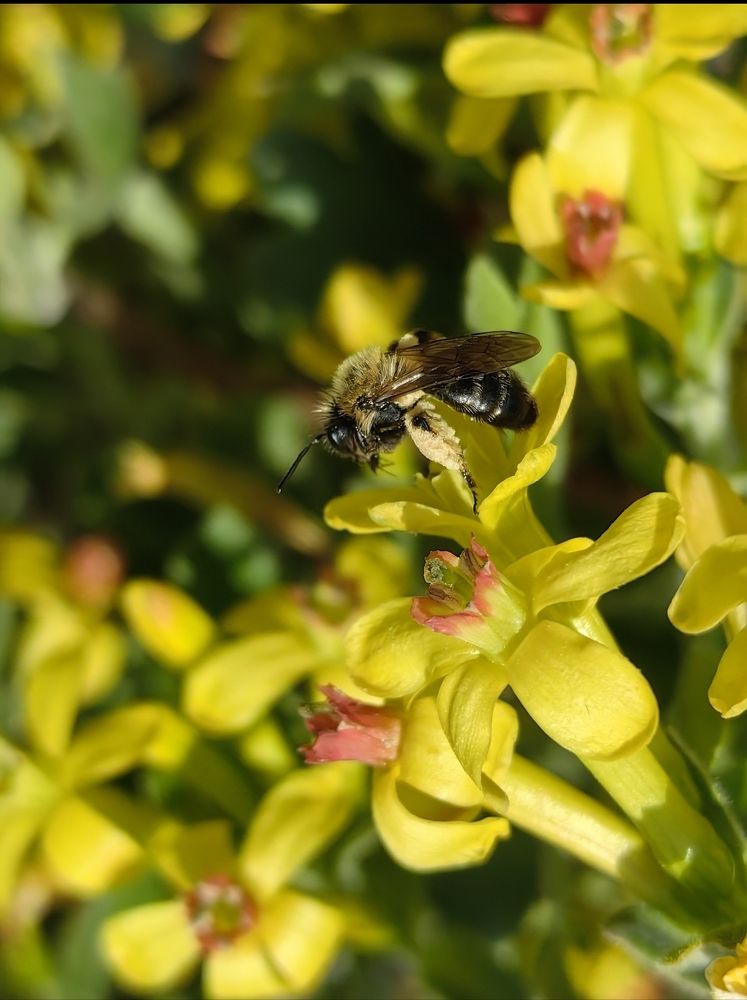 Photograph by Ирина Тихая
