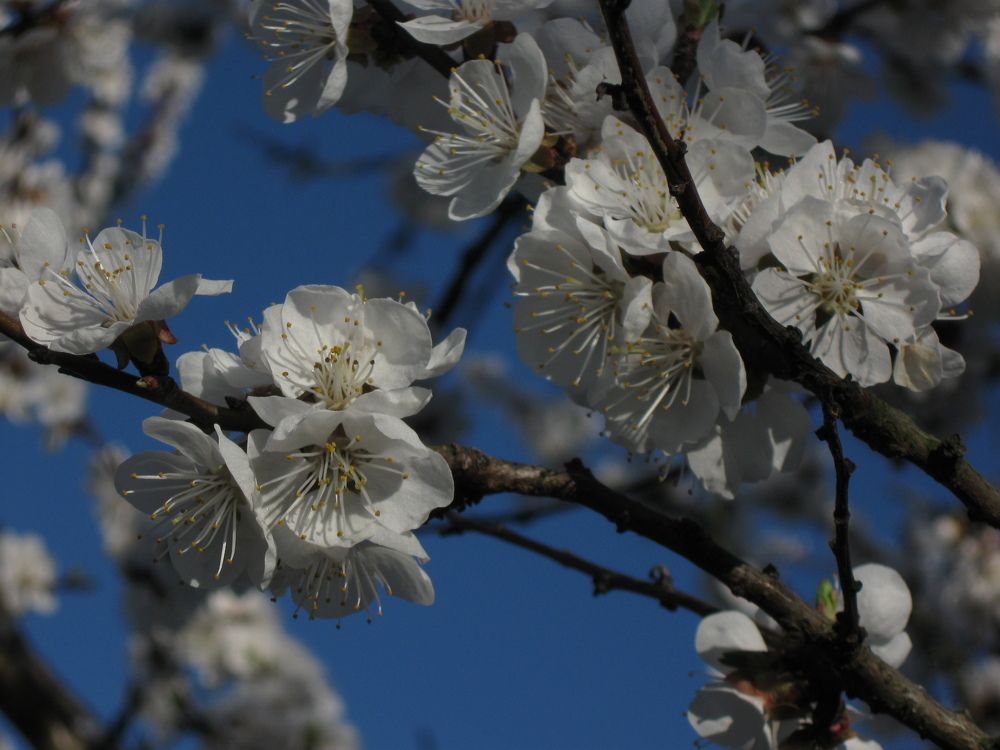 Фотография автора Алина