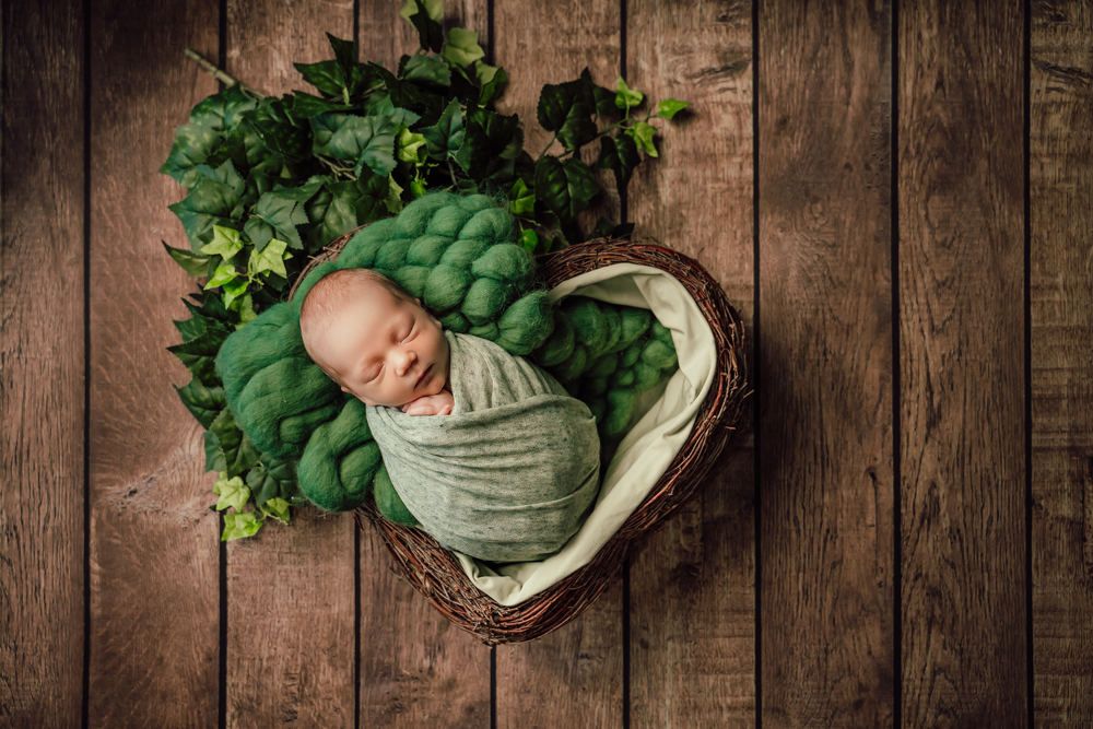 Photograph by Bojan Migac