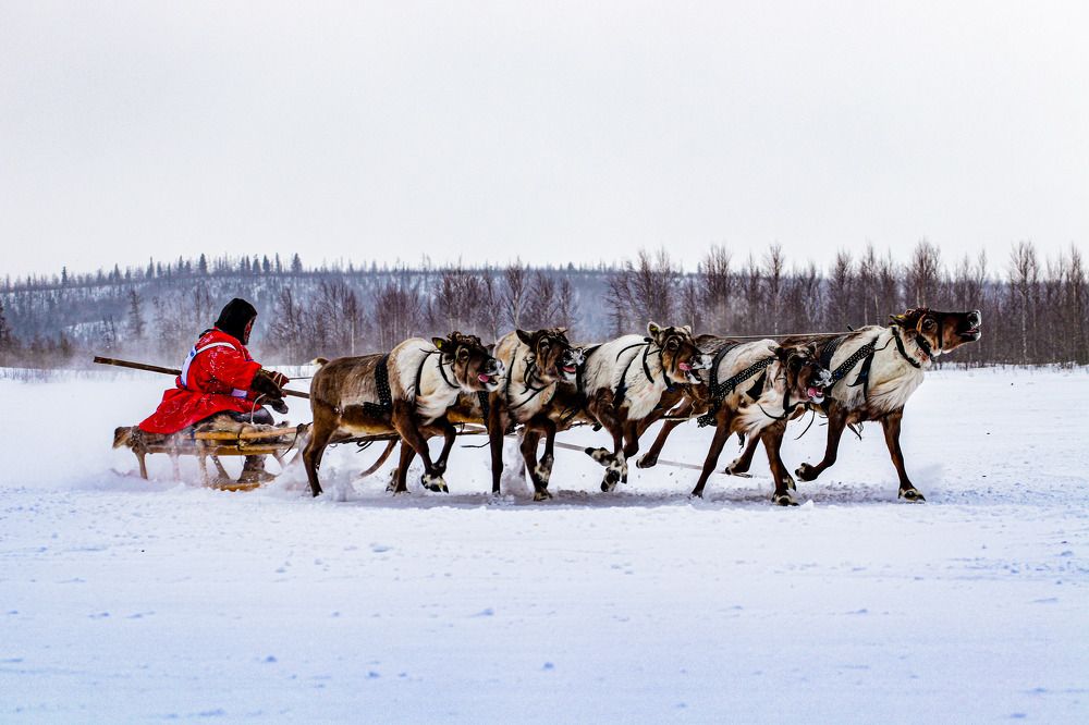 Photograph by Евгений Ничипорук