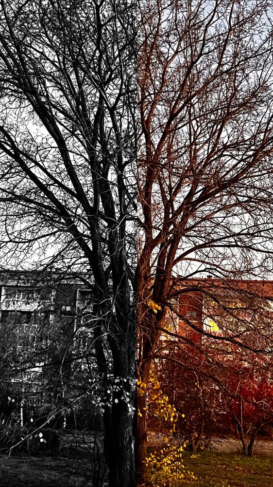 Photograph by Ольга Белоусова