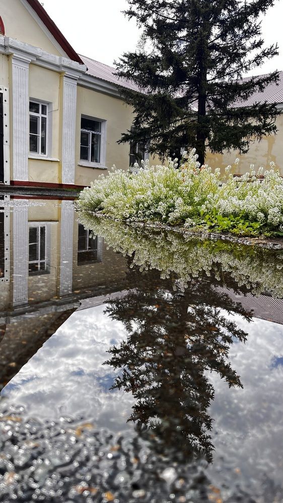 Photograph by Ольга Белоусова