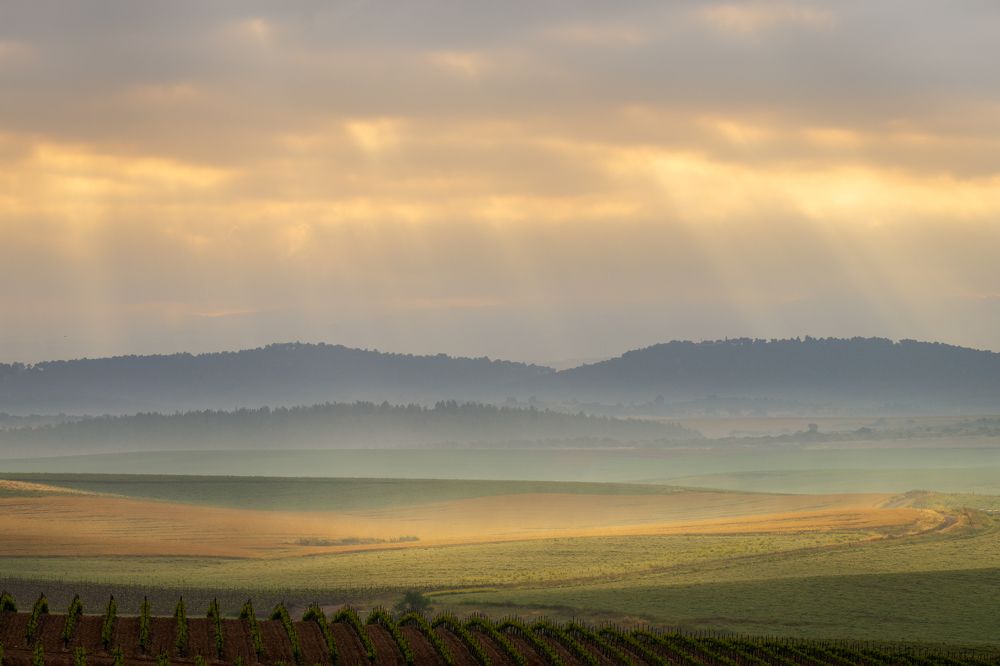 Photograph by Ilya Stolov