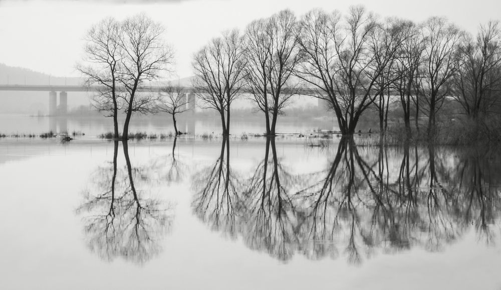 Photograph by Ирина Архипова