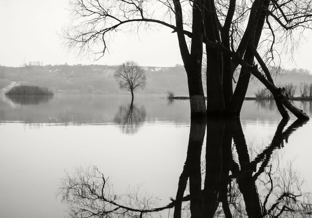 Photograph by Ирина Архипова