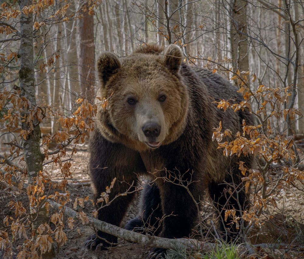 Photograph by Taтьяна Войлокова