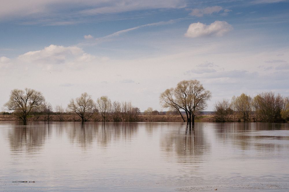 Photograph by Александр