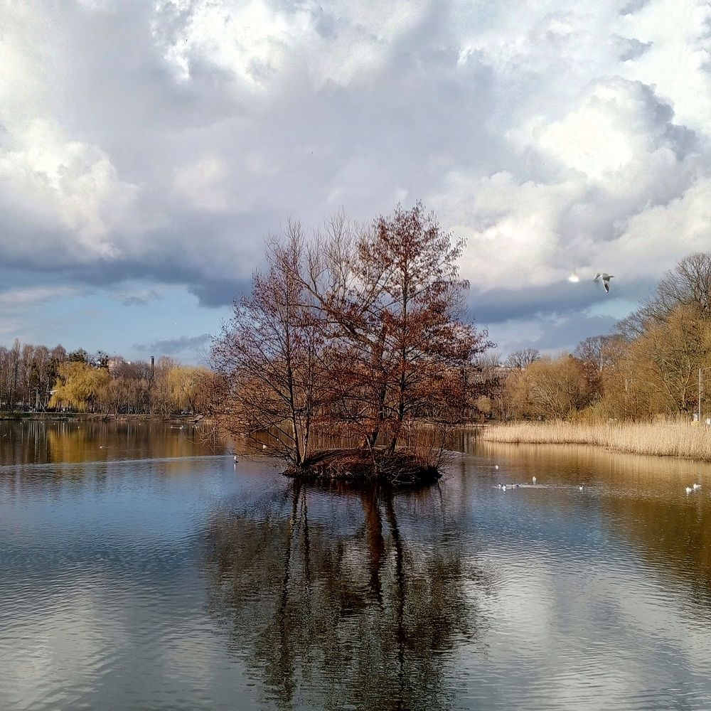 Photograph by Дина Полухина